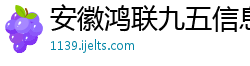 安徽鸿联九五信息产业有限公司